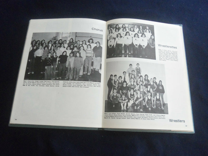 1976 ACORNS DEPOSIT CENTRAL SCHOOL YEARBOOK - DEPOSIT, NEW YORK - YB 2784