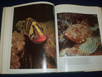 1974 THIS GOOD EARTH BOOK EDITED BY LES LINE - GREAT COLOR PHOTOS - KD 2987