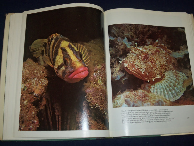 1974 THIS GOOD EARTH BOOK EDITED BY LES LINE - GREAT COLOR PHOTOS - KD 2987