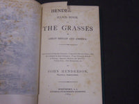 1875 HENDERSON'S HANDBOOK OF THE GRASSES OF GREAT BRITAIN & AMERICA - KD 5819