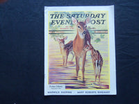 1933 APRIL 29 THE SATURDAY EVENING POST MAGAZINE - ILLUSTRATED COVER - SP 1510