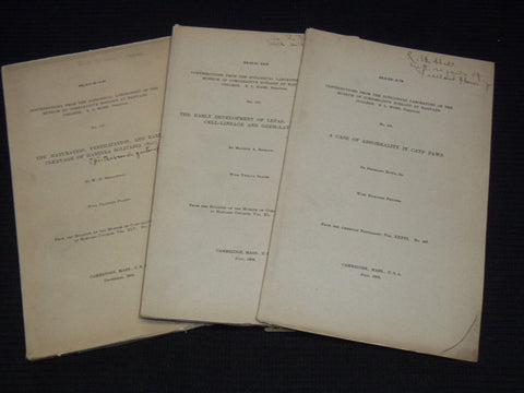 1902-1904 HARVARD ZOOLOGICAL LABORATORY STUDY BOOKS LOT OF 3 - O 2366Q