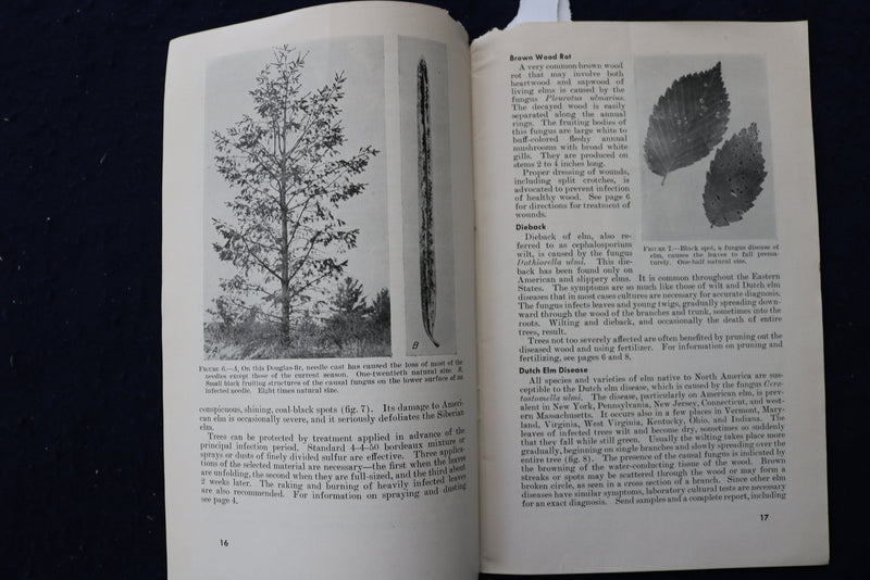 1942 & 1948 SHADE TREES CARE & COMMON DISEASES SOFTCOVER BOOKS -LOT OF 2- K 1414