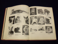 1976 CAT FANCIERS' ASSOCIATION INC. YEARBOOK - COPYRIGHT EDITION NO. 7 - YB 871