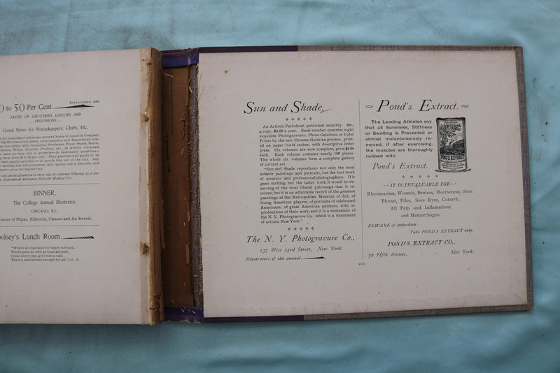 1896 THE VIOLET NEW YORK UNIVERSITY YEARBOOK - YB 3591