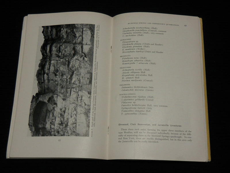 1964 STRATIGRAPHY & PALEONTOLOGY OF RICHFIELD SPRINGS BOOK - MAPS - J 7052