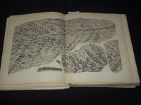 1877-1903 KONGLIGA SVENSKA SWEDISH VETENSKAPSAKADEMIENS VOLUMES LOT OF 8