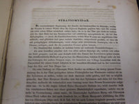 1860 DIE DIPTERN-FAUNA SUDAFRIKA'S BY DR. HERM LOEW ERSTE ABTHEILUNG - KD 2344