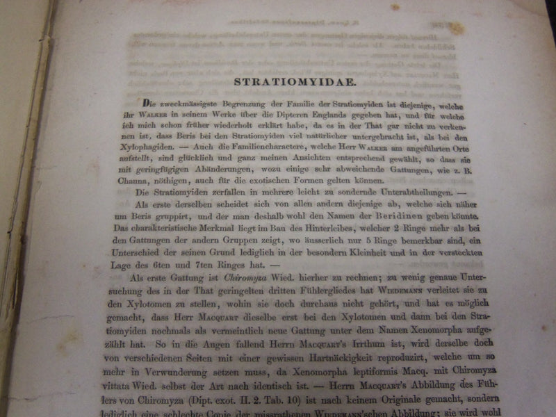 1860 DIE DIPTERN-FAUNA SUDAFRIKA'S BY DR. HERM LOEW ERSTE ABTHEILUNG - KD 2344