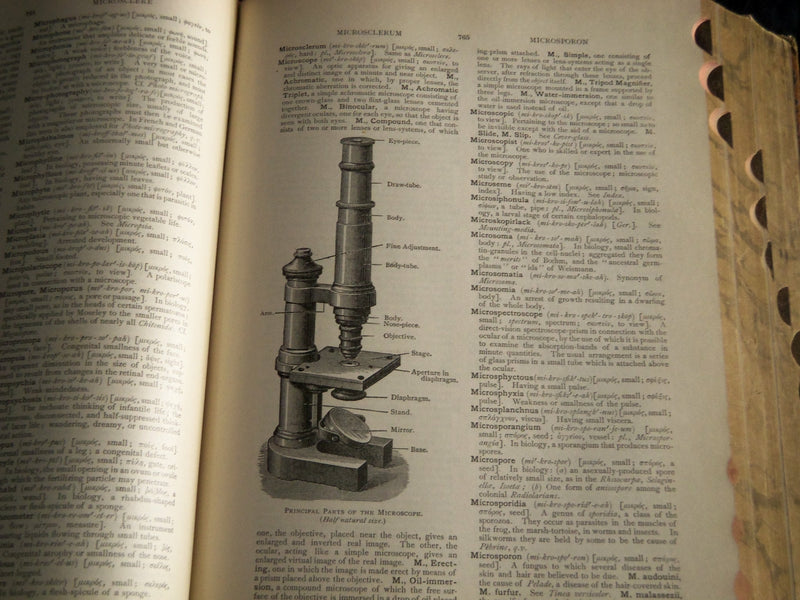 1907 AN ILLUSTRATED DICTIONARY OF MEDICINE BIOLOGY BOOK BY GEORGE GOULD- KD 1421