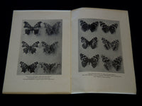 1914 OUR COMMON BUTTERFLIES BOOK BY FRANK E. LUTZ - LEAFLET NO. 38 - J 7301