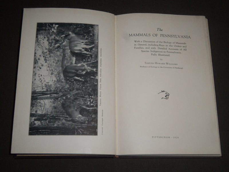 1928 THE MAMMALS OF PENNSYLVANIA BY SAMUEL HOWARD WILLIAMS BOOK - KD 4129