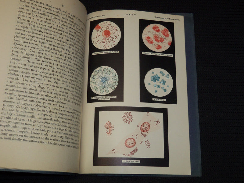 1901 SYLLABUS OF BACTERIOLOGY DESIGNED TO AID PHYSICIAN - 5 PLATES - J 7953