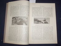 1894 NOV & DEC THE MUSEUM MAGAZINE - ISSUES #1 AND #2 - LOT OF 2 - J 9775