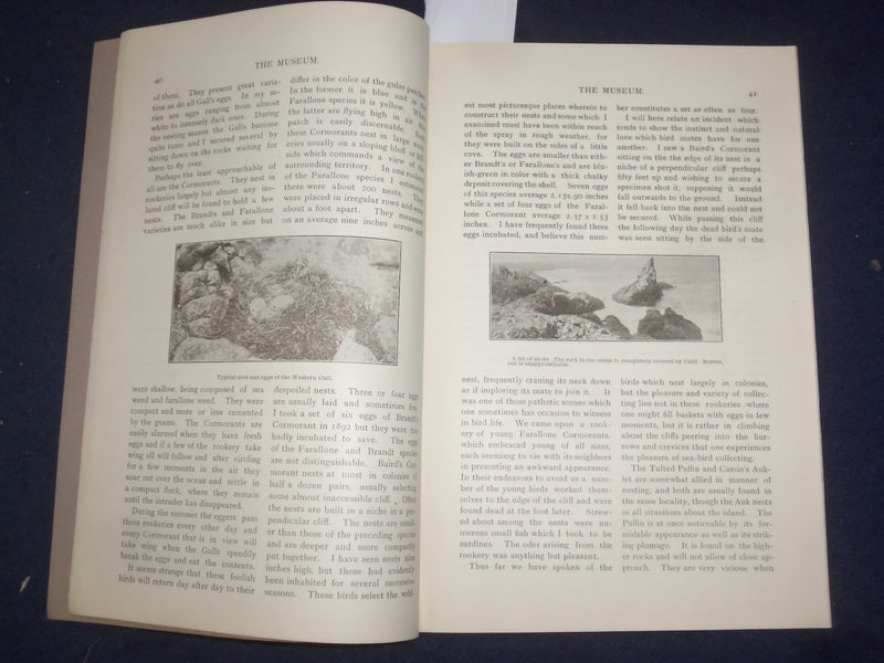 1894 NOV & DEC THE MUSEUM MAGAZINE - ISSUES #1 AND #2 - LOT OF 2 - J 9775
