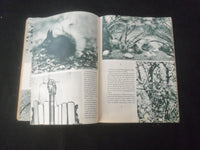 1935 DECEMBER NATURE MAGAZINE - AT THE ICE KING'S BOARD - B 1181N