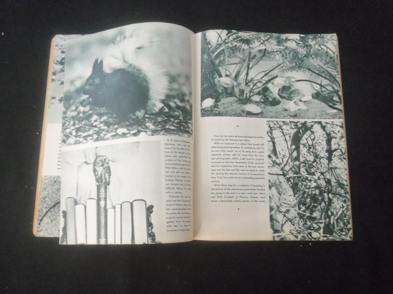 1935 DECEMBER NATURE MAGAZINE - AT THE ICE KING'S BOARD - B 1181N
