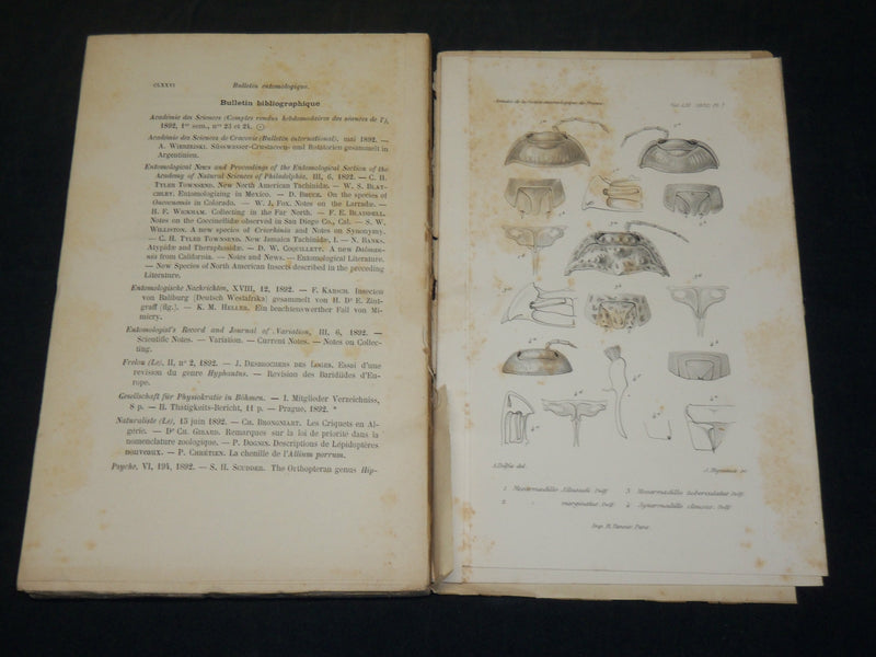1891-1911 ANNALES SOCIETE ENTOMOLOGIQUE DE FRANCE ET BELGIQUE HUGE LOT - WR 140