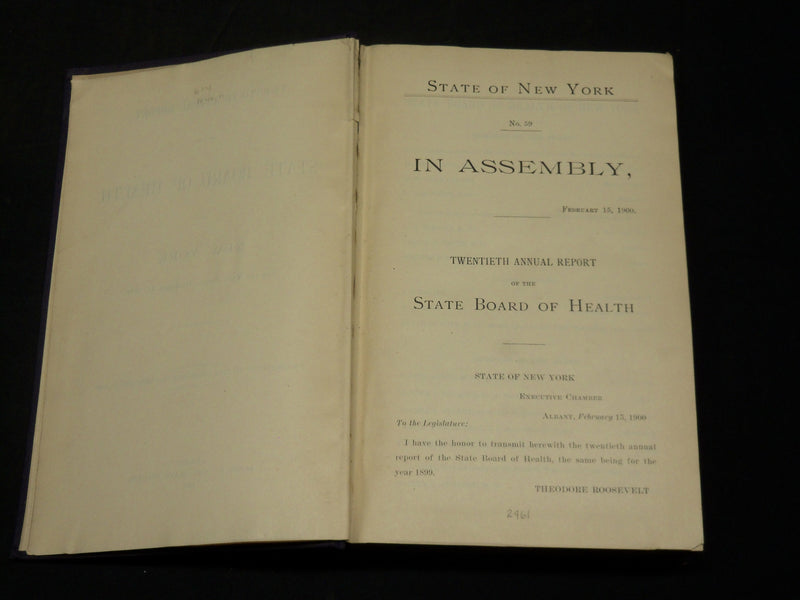 1899 NY STATE DEPARTMENT OF HEALTH 20TH ANNUAL REPORT VOLUME NO. 2 - KD 5898