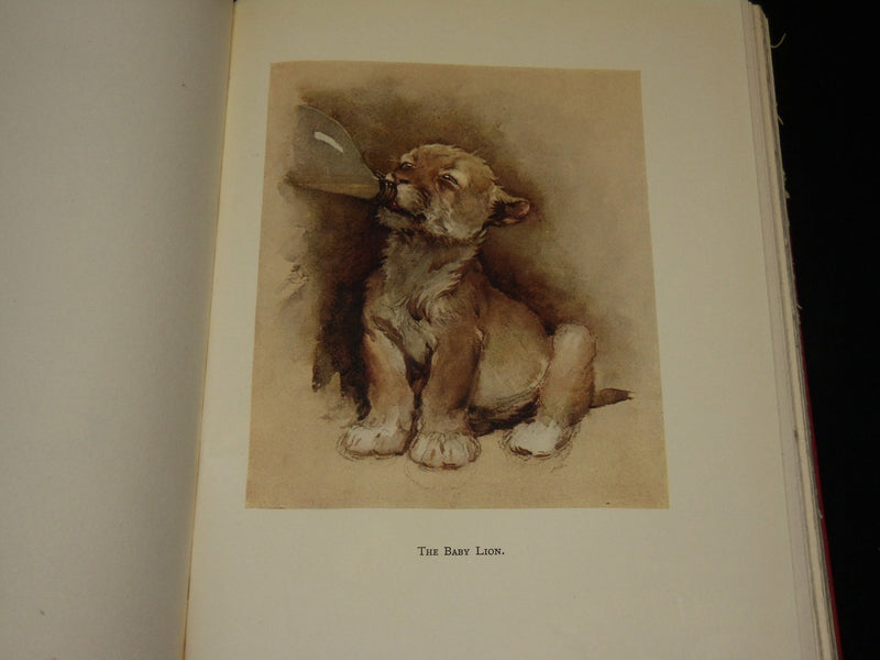 1933 WHO'S WHO IN THE ZOO HARDCOVER BOOK BY MORTON & ALDIN - KD 2767L