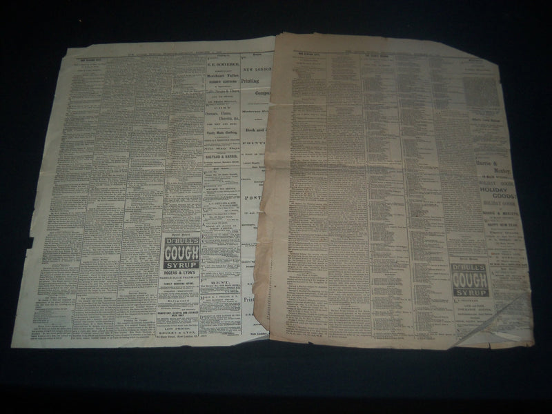 1881-1882 NEW LONDON TELEGRAM NEWSPAPER LOT OF 2 - GUITEAU TRIAL - NP 3908
