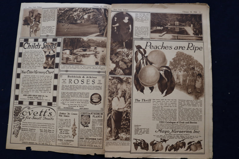 1924 FEB 10 NY TRIBUNE GARDEN GRAPHIC SECTION- PEARL WHITE-ELSIE JANIS - NP 8757