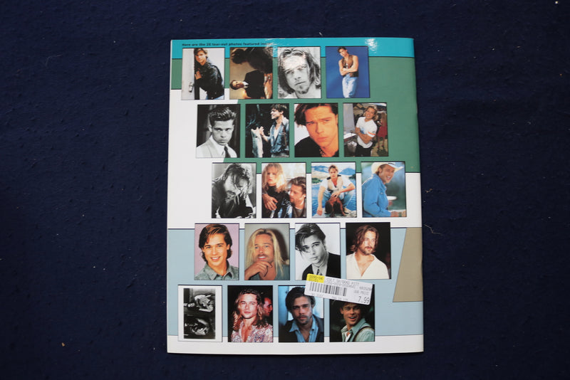 1995 BRAD PITT TEAR-OUT PHOTO BOOK MAGAZINE - BRAD PITT COVER - E 19120