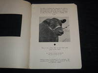 1951 ANOKA FARMS 25TH ANNIVERSRAY BREEDERS' CATTLE SALE CATALOG - J 9223