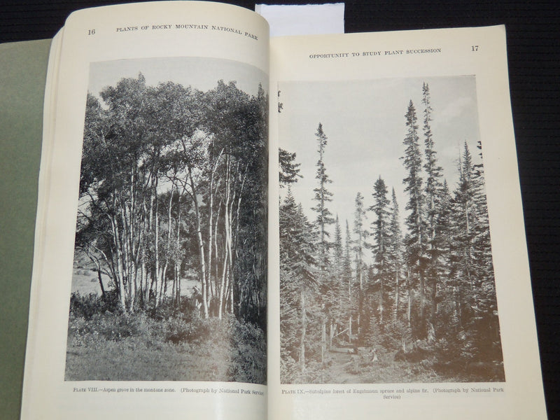 1933 PLANTS OF ROCKY MOUNTAIN NATIONAL PARK BOOK BY RUTH ASHTON - J 7313