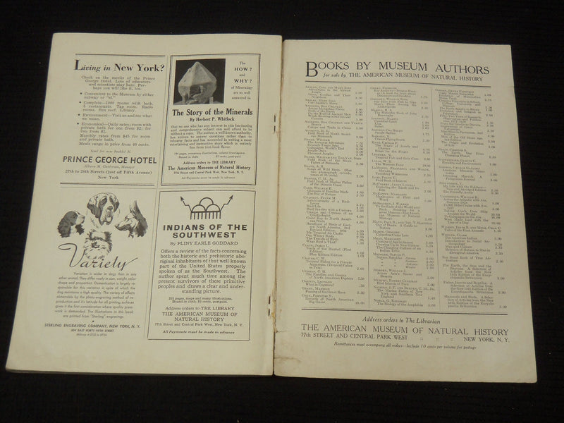 1934 NOVEMBER NATURAL HISTORY MAGAZINE - GREAT PHOTOS - K 2619