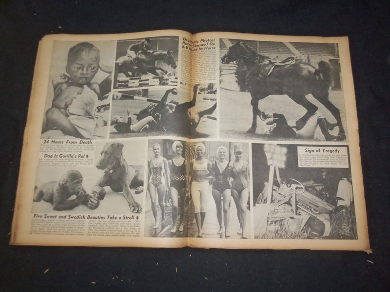 1965 NOV 7 NATIONAL ENQUIRER NEWSPAPER -MENTAL PATIENT FREED, KILLS DAD- NP 7399