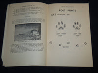 1941 JANUARY ARIZONA ANIMALS AND BIRDS BY C. B. BROWN - WILDLIFE CLUB - J 8591