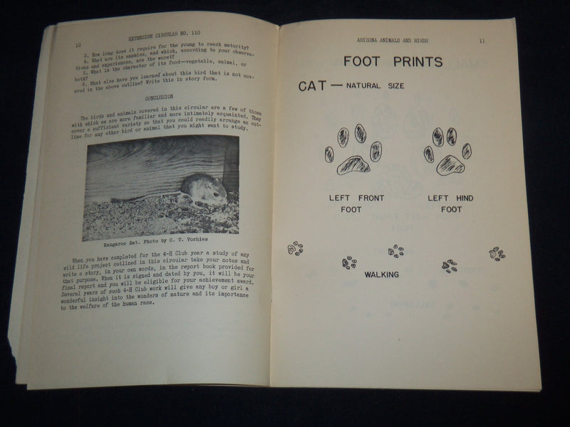 1941 JANUARY ARIZONA ANIMALS AND BIRDS BY C. B. BROWN - WILDLIFE CLUB - J 8591