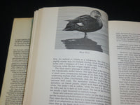 1973 GAME BIRDS OF NORTH AMERICA HARDCOVER BOOK BY LEONARD LEE RUE - I 1978