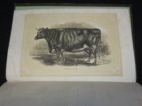 1853 THE FARM AND GARDEN MAGAZINE BOUND VOLUME - NICE ILLUSTRATIONS - KD 7397