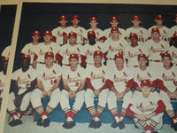 1964 ST. LOUIS CARDINALS COLOROTO MAGAZINE TEAM PHOTO - 33 PIECES - NP 9192