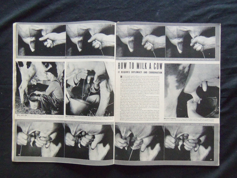 1942 DECEMBER 28 LIFE MAGAZINE - RAPHAEL'S MADONNA - L 319