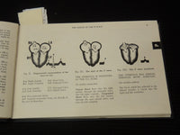 1952 P-Q-R-S-T ELECTROCARDIOGRAM GUIDE BOOK - RISEMAN - 3RD EDITION - K 2691