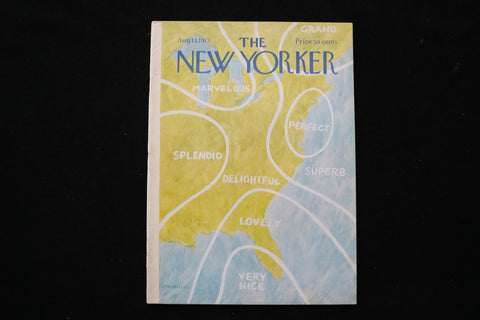 1973 AUGUST 13 NEW YORKER MAGAZINE - GREAT ILLUSTRATED COVER - NY 2885
