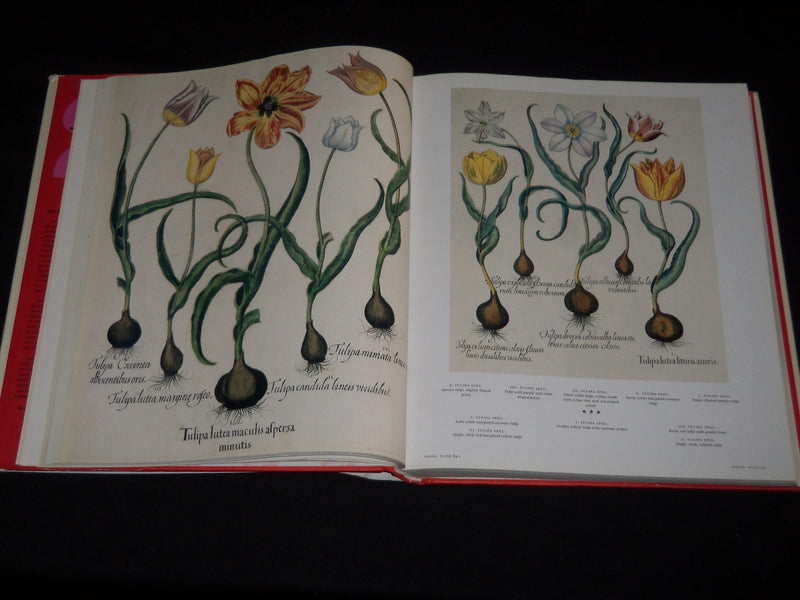 2007 THE BOOK OF PLANTS COMPLETE PLATES BOOK - BY BASILIUS BESLER - D 71