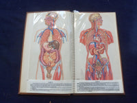 1958 TRANS-VISIONS OF ANATOMICAL CHROMOGRAPHS HARDCOVER BOOK BY DAVIS - KD 8756