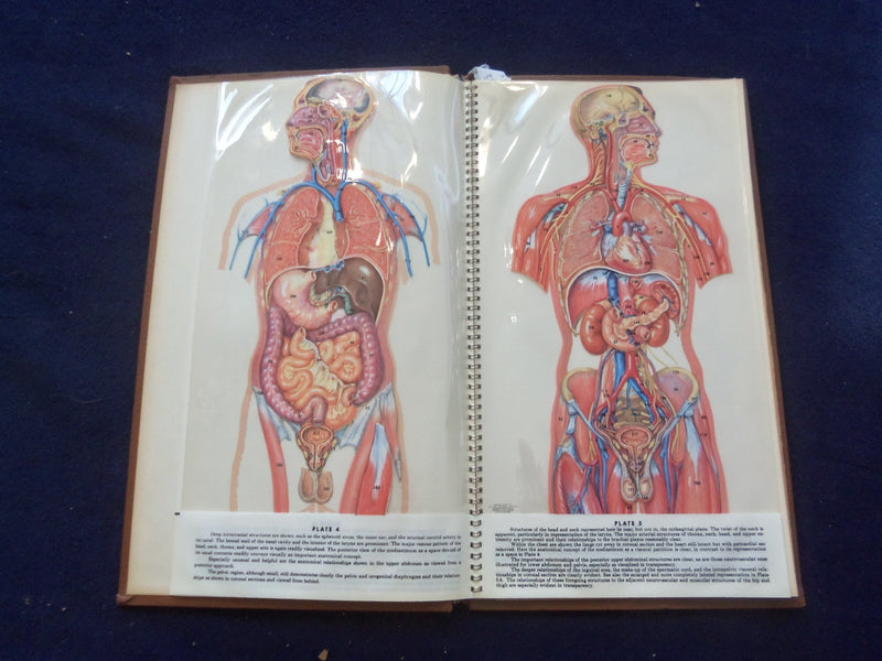 1958 TRANS-VISIONS OF ANATOMICAL CHROMOGRAPHS HARDCOVER BOOK BY DAVIS - KD 8756