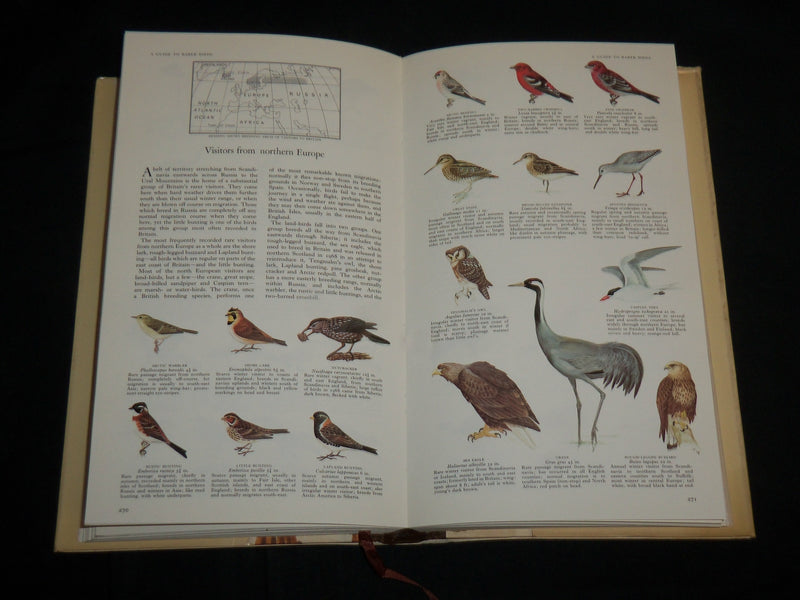 1973 BOOK OF BRITISH BIRDS HARDCOVER BOOK - NICE COLOR ILLUSTRATIONS - KD 7037