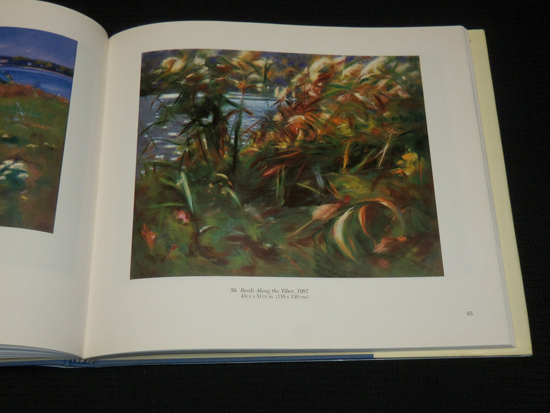 1992 ETTORE DE CONCILIIS HARDCOVER BOOK BY DONELSON HOOPES & MARINI - R 726V