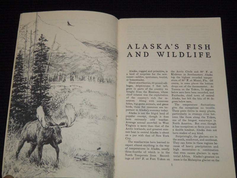 1953 ALASKA'S FISH AND WILD LIFE CIRCULAR #17 - U. S. DEPT. OF INTERIOR - J 7498