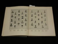 1912 BLUE & GOLD UNIVERSITY OF CALIFORNIA YEARBOOK - NICE PHOTOS - YB 661