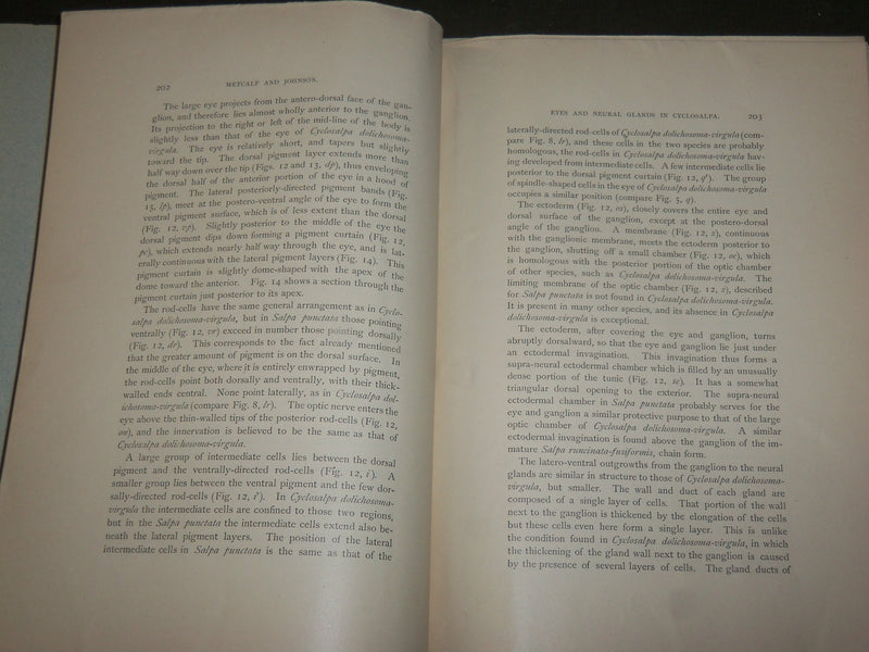 1905 ANATOMY OF EYES AND NEURAL GLANDS BOOK BY METCALF - J 7125