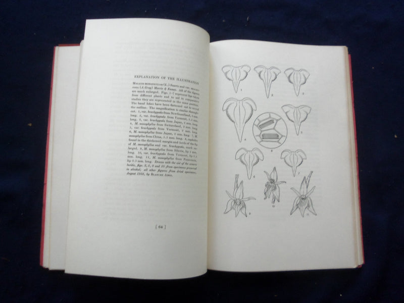 1948 ORCHIDS IN RETROSPECT SOFTCOVER BOOK BY OAKES AMES - KD 8206