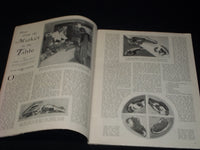 1929 FEBRUARY PEOPLE'S HOME JOURNAL MAGAZINE NICE FRONT COVER & FASHION - E 3762