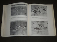 1962 THE COMPLETE BOOK OF NATURE PHOTOGRAPHY BY RUSS KINNE - KD 3773